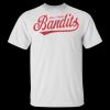Gildan Ultra Cotton® TALL T-Shirt (Adult) Thumbnail
